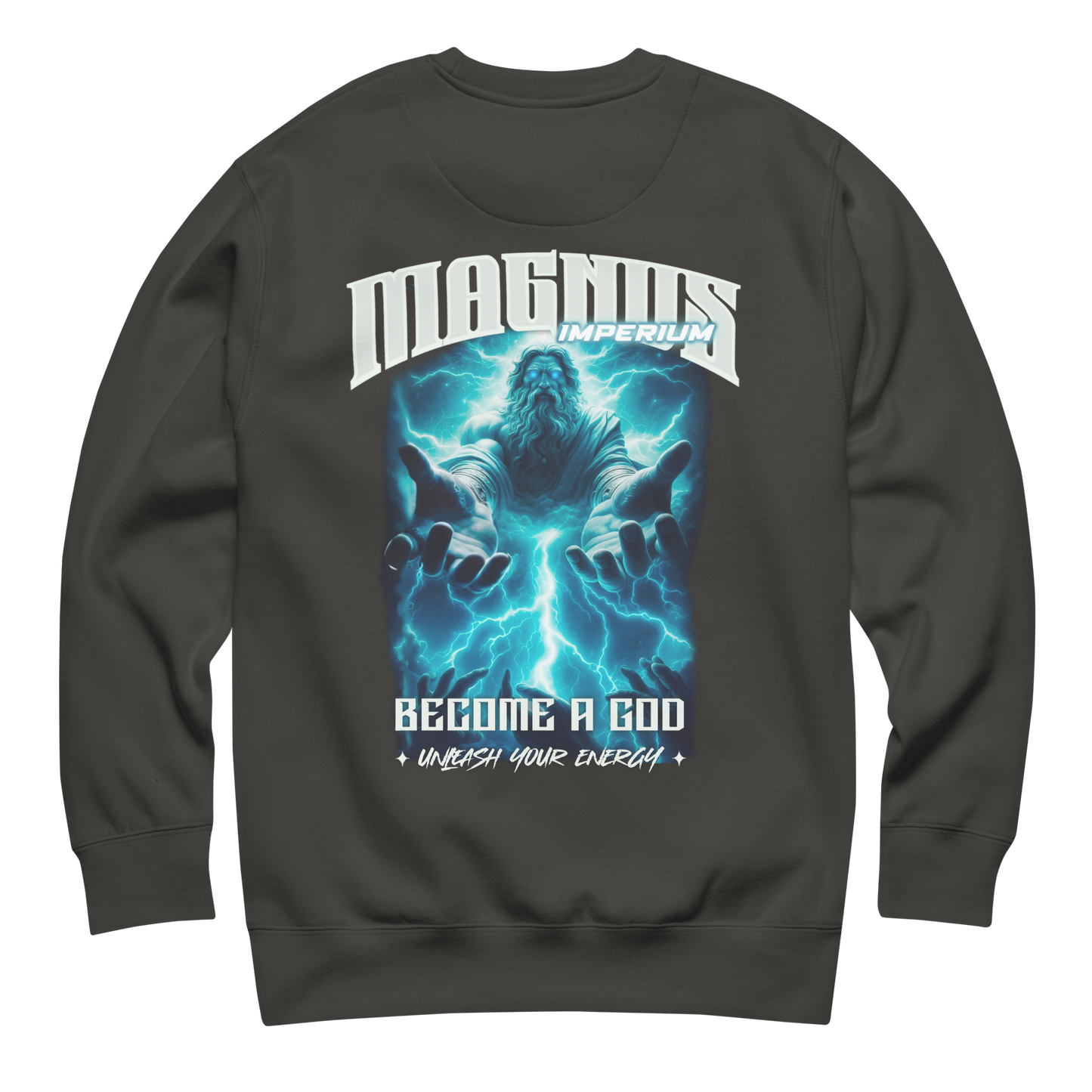 Sudadera Gris Zeus Magnus Imperium Delante