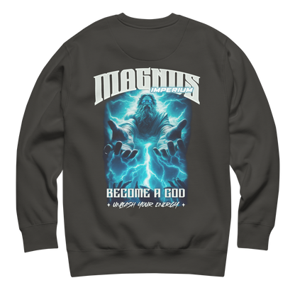 Sudadera Gris Zeus Magnus Imperium Delante